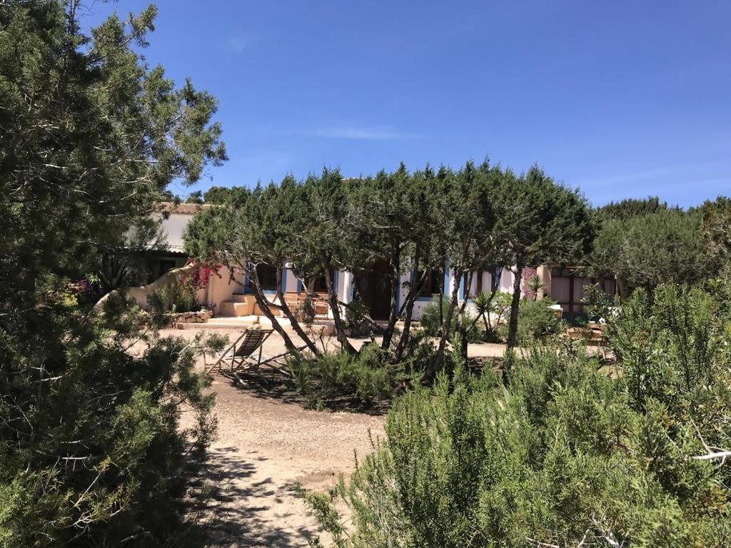 Casa Goro Formentera Villa Playa Migjorn Oda fotoğraf